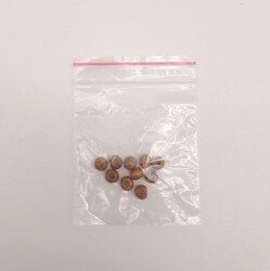 Angel Çanta Aksesuar 4mm 10 Adet Ahşap Yuvarlak Boncuk - 3