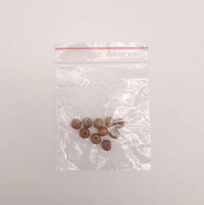 Angel Çanta Aksesuar 4mm 10 Adet Ahşap Yuvarlak Boncuk - 3