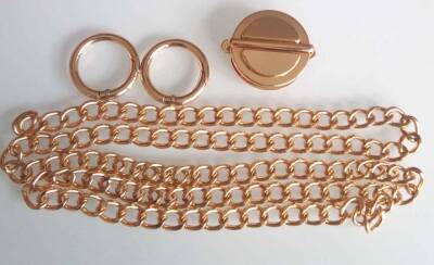 Angel Çanta Aksesuar Light Gold Renk Zincir Set - 1